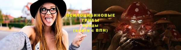 спайс Богородск
