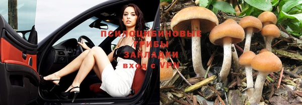 кокаин Богородицк